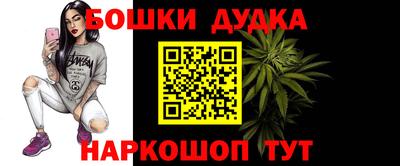 стафф Лесосибирск