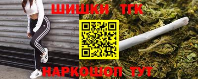 стафф Лесосибирск