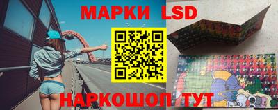 стафф Лесосибирск