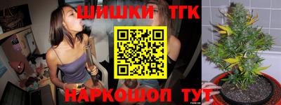 стафф Лесосибирск