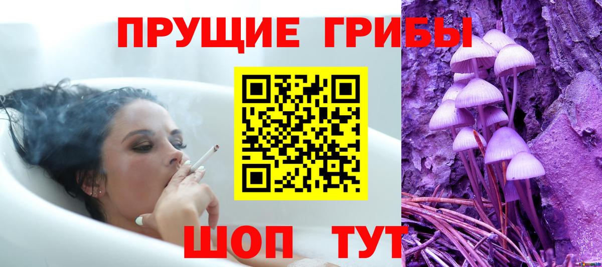 Галлюциногенные грибы Magic Shrooms  Вход с VPN  дарнет шоп  Галлюциногенные грибы Psilocybe  Шали 