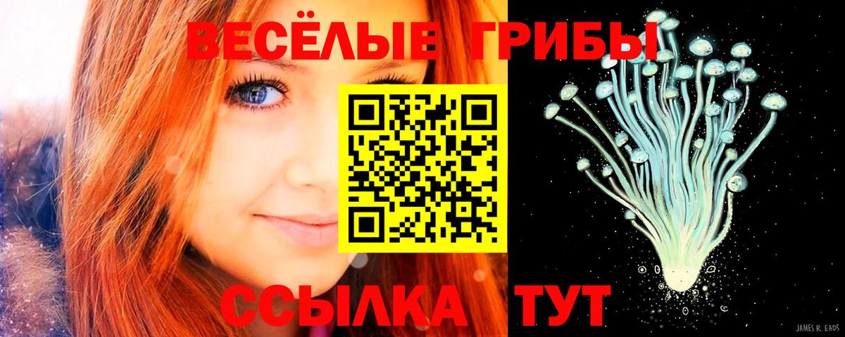 Псилоцибиновые грибы Psilocybine cubensis Шали